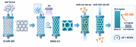 MÀNG TINH THỂ KEO NGHỊCH ĐẢO CHO SẮC KÝ MÀNG TƯƠNG TÁC KỴ NƯỚC