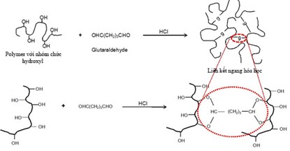 TỔNG QUAN VỀ HYDRGEL